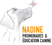Nadine - Promenades & éducation canine